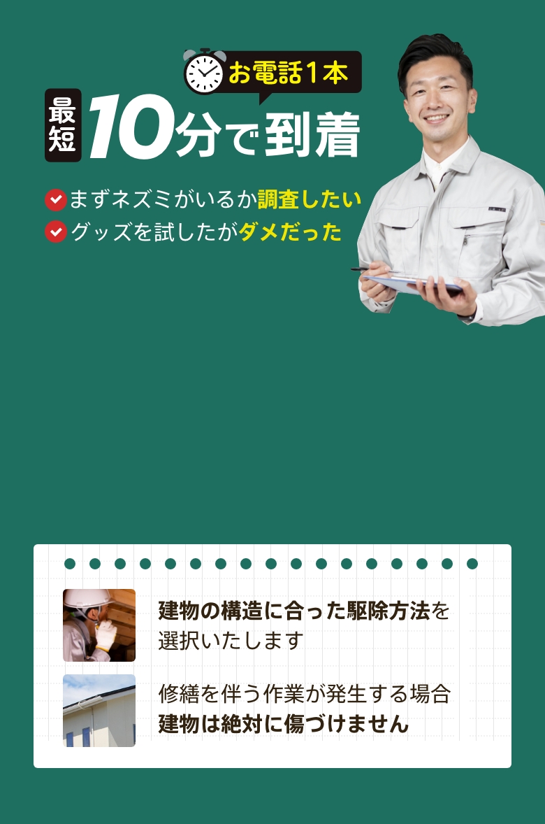 ネズミ駆除期間限定1,100円OFF