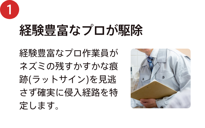 経験豊富なプロが駆除