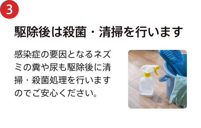 駆除後は殺菌・清掃を行います